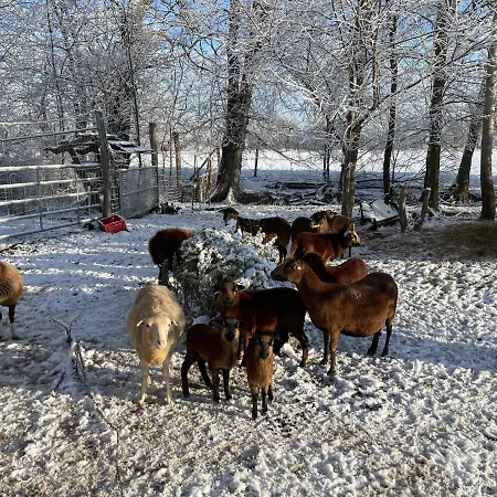 Weitblick Lägenhet Letschin