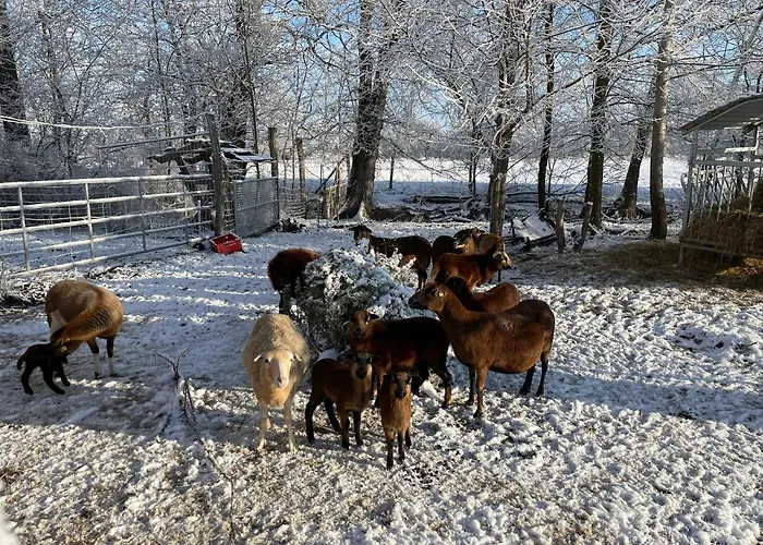 Weitblick アパート Letschin